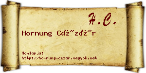 Hornung Cézár névjegykártya